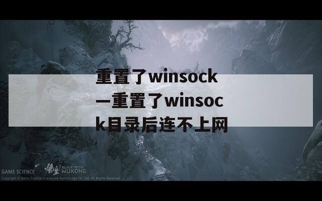 重置了winsock—重置了winsock目录后连不上网