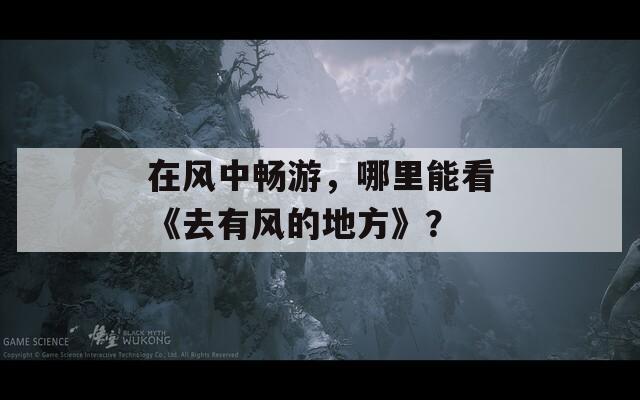 在风中畅游，哪里能看《去有风的地方》？