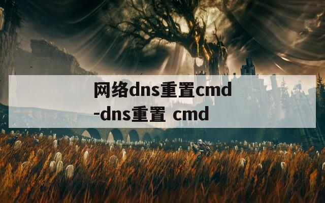 网络dns重置cmd-dns重置 cmd