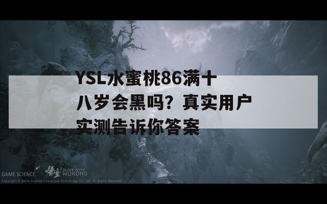 YSL水蜜桃86满十八岁会黑吗？真实用户实测告诉你答案