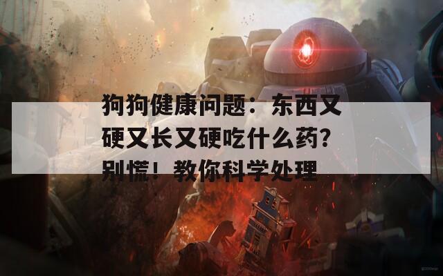 狗狗健康问题：东西又硬又长又硬吃什么药？别慌！教你科学处理