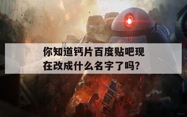 你知道钙片百度贴吧现在改成什么名字了吗？