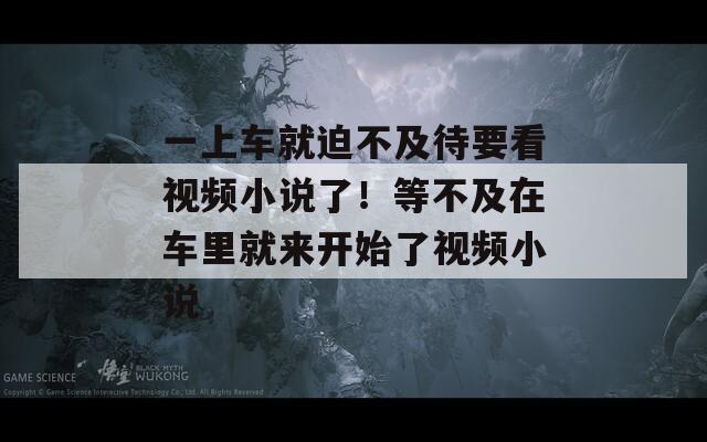 一上车就迫不及待要看视频小说了！等不及在车里就来开始了视频小说