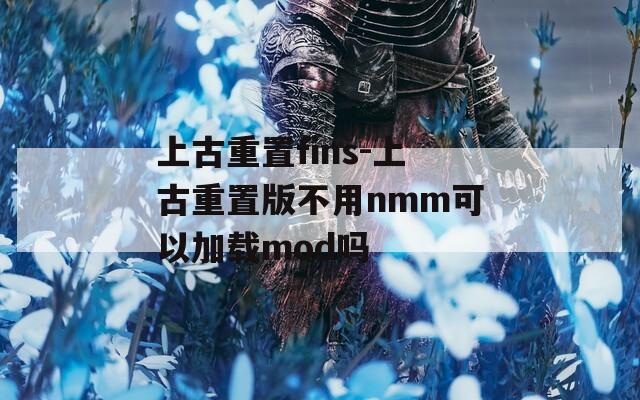 上古重置fins-上古重置版不用nmm可以加载mod吗