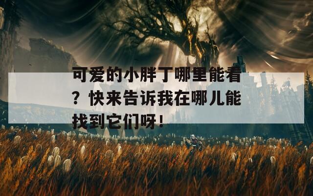 可爱的小胖丁哪里能看？快来告诉我在哪儿能找到它们呀！