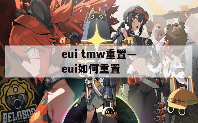 eui tmw重置—eui如何重置