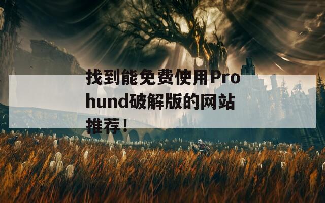 找到能免费使用Prohund破解版的网站推荐！