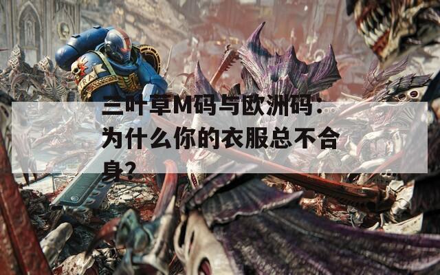 三叶草M码与欧洲码：为什么你的衣服总不合身？